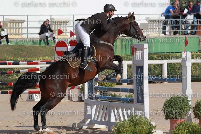 SESTINI_WANDERER_GIO CAV 2011_SS3_0593.jpg